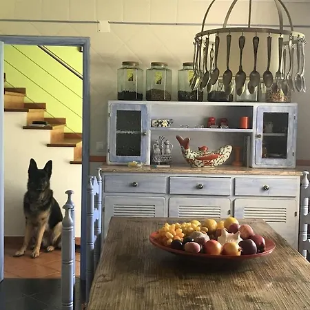 Baleal, By The Sea With Swimming Pool Apartment *