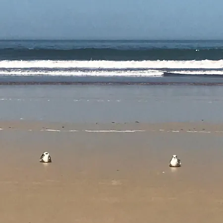 Baleal, By The Sea With Swimming Pool * Baleal